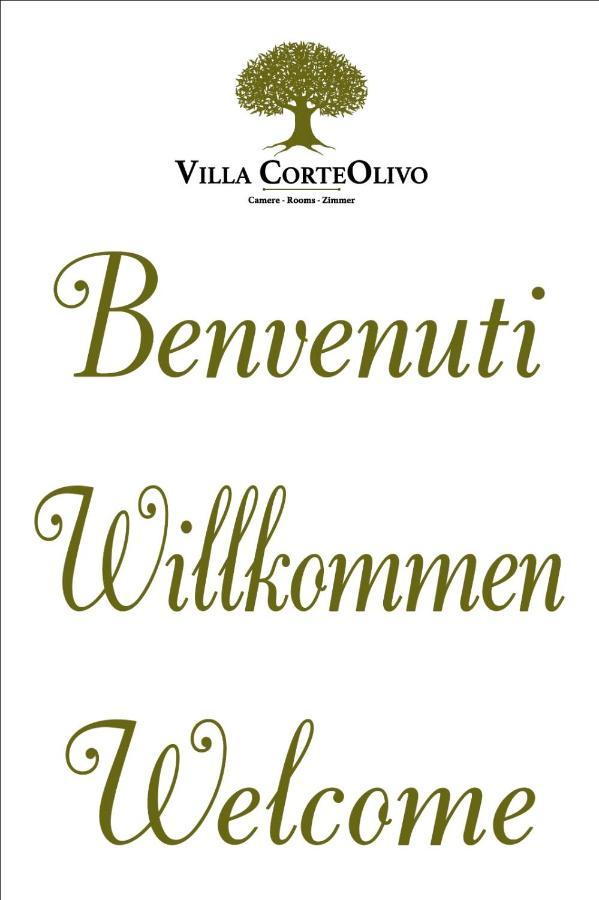 Villa Corteolivo Rooms Torri del Benaco Kültér fotó