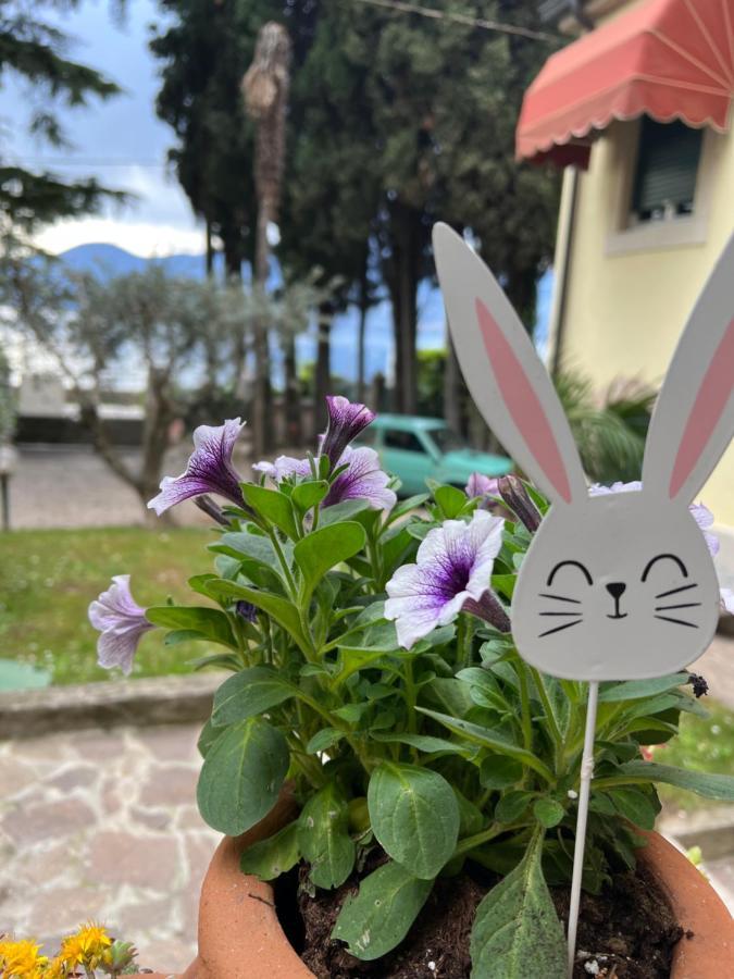 Villa Corteolivo Rooms Torri del Benaco Kültér fotó